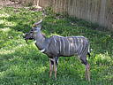 dscn0277.jpg
