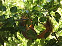 dscn0278.jpg