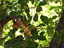 dscn0279.jpg