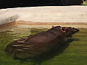 dscn0280.jpg