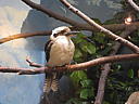 dscn0284.jpg