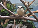dscn0287.jpg