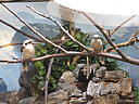 dscn0288.jpg