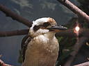 dscn0289.jpg
