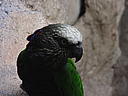 dscn0291.jpg