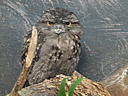 dscn0292.jpg