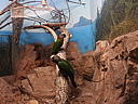 dscn0293.jpg