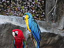 dscn0295.jpg