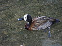 dscn0296.jpg