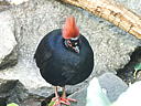 dscn0297.jpg