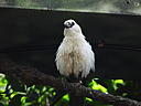 dscn0298.jpg