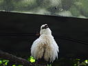 dscn0299.jpg