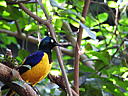 dscn0301.jpg