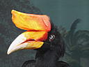 dscn0303.jpg