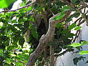 dscn0306.jpg