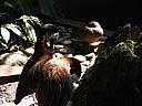 dscn0307.jpg