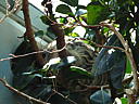 dscn0308.jpg