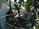dscn0309.jpg