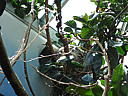 dscn0310.jpg