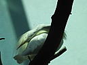 dscn0312.jpg