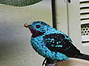 dscn0316.jpg