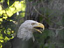 dscn0320.jpg