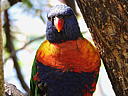 dscn0324.jpg