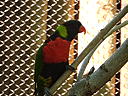 dscn0325.jpg