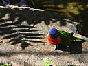 dscn0329.jpg