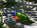 dscn0330.jpg