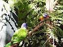 dscn0332.jpg