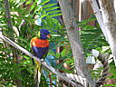 dscn0333.jpg