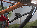 dscn0337.jpg