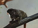 dscn0338.jpg