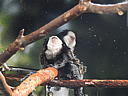 dscn0340.jpg