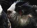 dscn0341.jpg