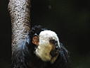 dscn0343.jpg