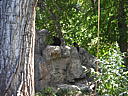 dscn0348.jpg