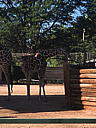 img_1519.jpg