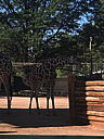 img_1520.jpg
