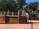 img_1522.jpg