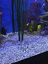 img_1526.jpg