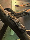 img_1531.jpg