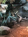 img_1532.jpg