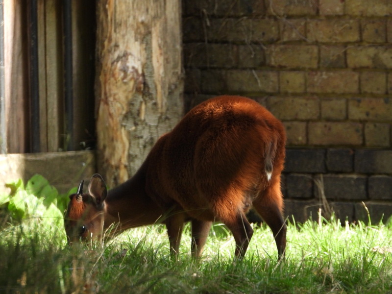 dscn1023.jpg