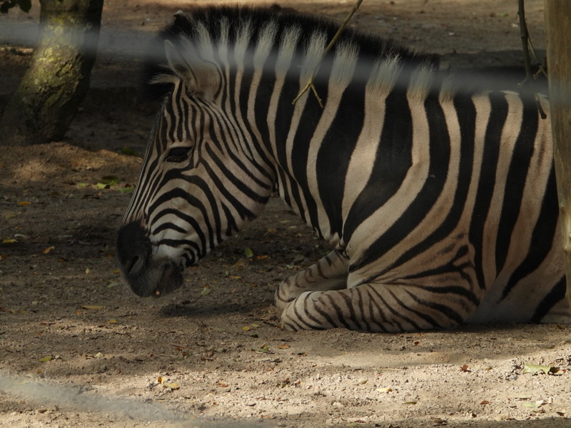 dscn1025.jpg