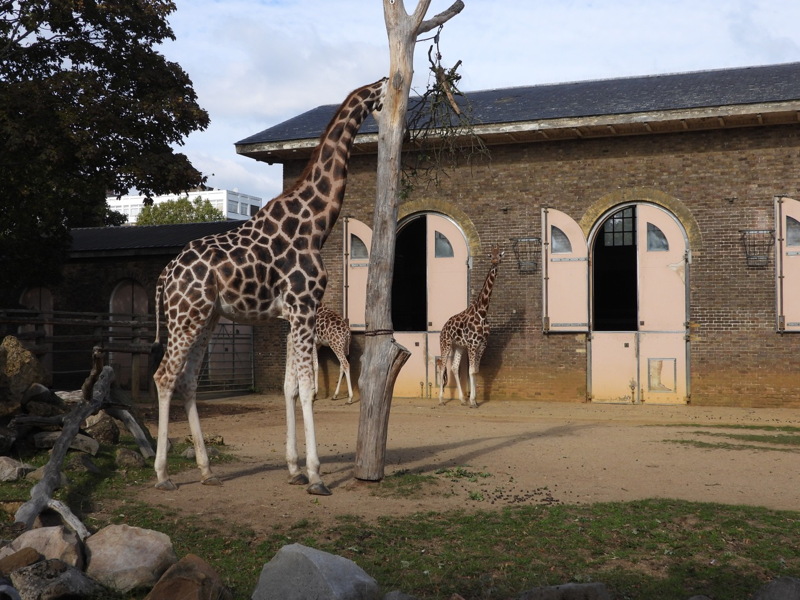 dscn1029.jpg