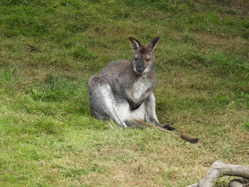 dscn1034.jpg
