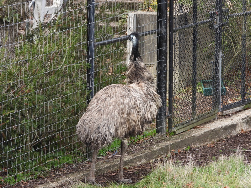 dscn1035.jpg