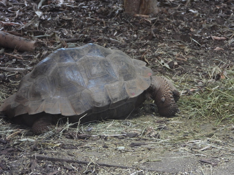 dscn1046.jpg